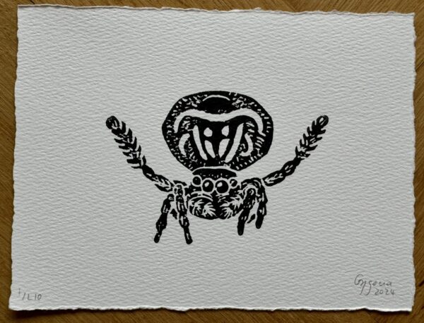Linoldruck "Pfauenspinne"