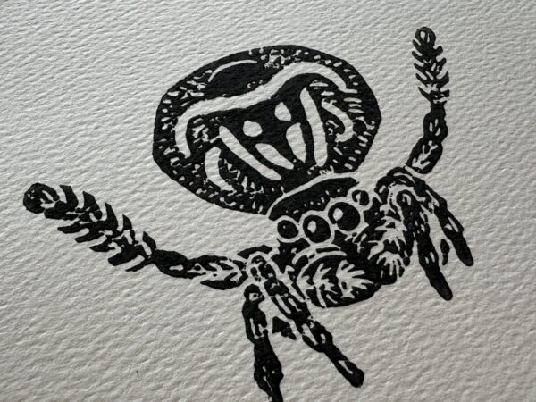 Linoldruck "Pfauenspinne" - Image 3