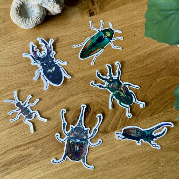 Stickerset "Käfer"