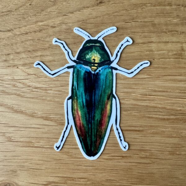 Stickerset "Käfer" - Image 2